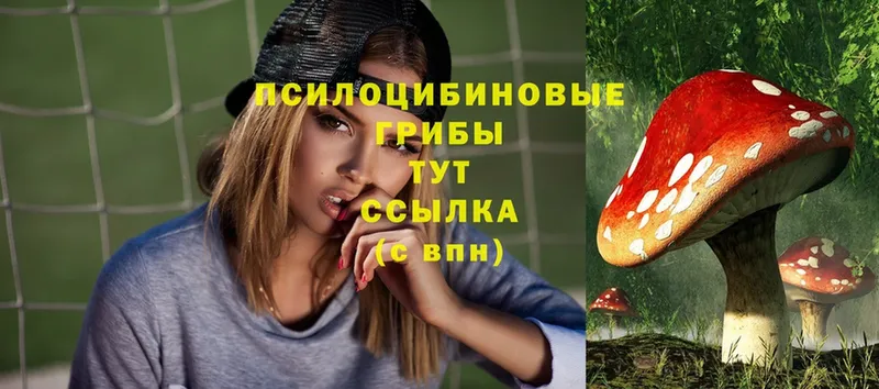 Галлюциногенные грибы Magic Shrooms  Кемь 